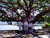 tree2.jpg